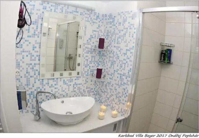 Apartman Vila Bayer Karlovy Vary Ngoại thất bức ảnh