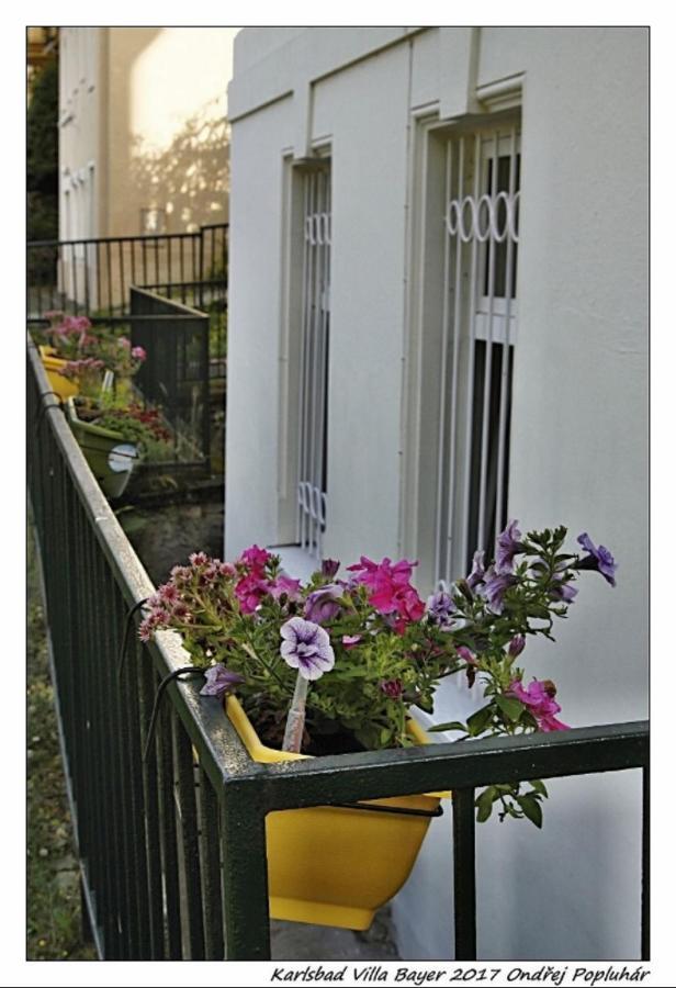 Apartman Vila Bayer Karlovy Vary Ngoại thất bức ảnh