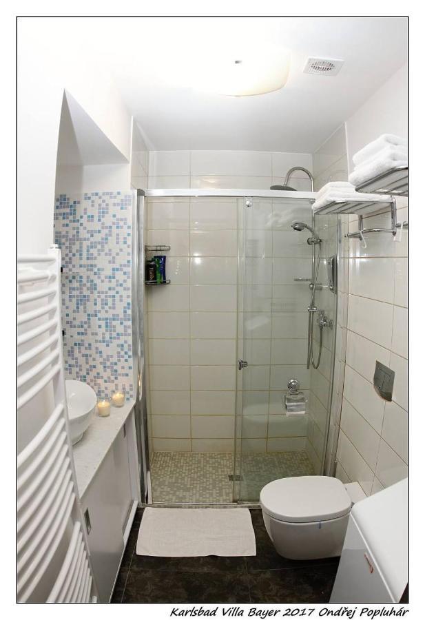 Apartman Vila Bayer Karlovy Vary Ngoại thất bức ảnh
