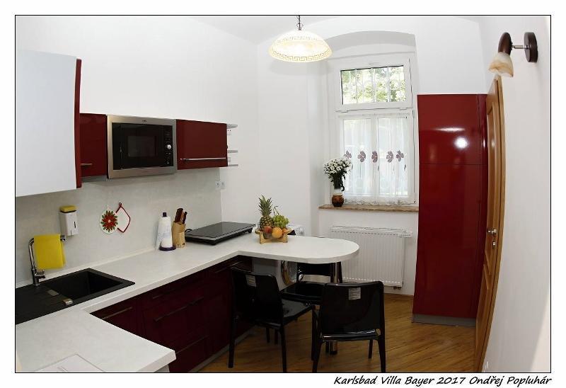 Apartman Vila Bayer Karlovy Vary Ngoại thất bức ảnh