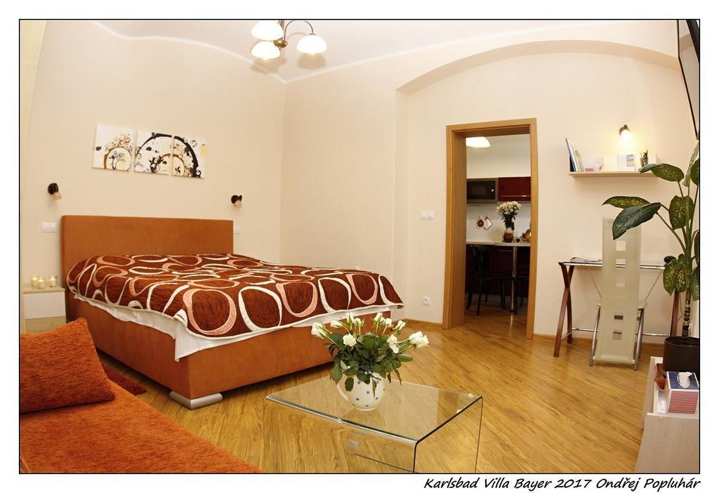 Apartman Vila Bayer Karlovy Vary Ngoại thất bức ảnh